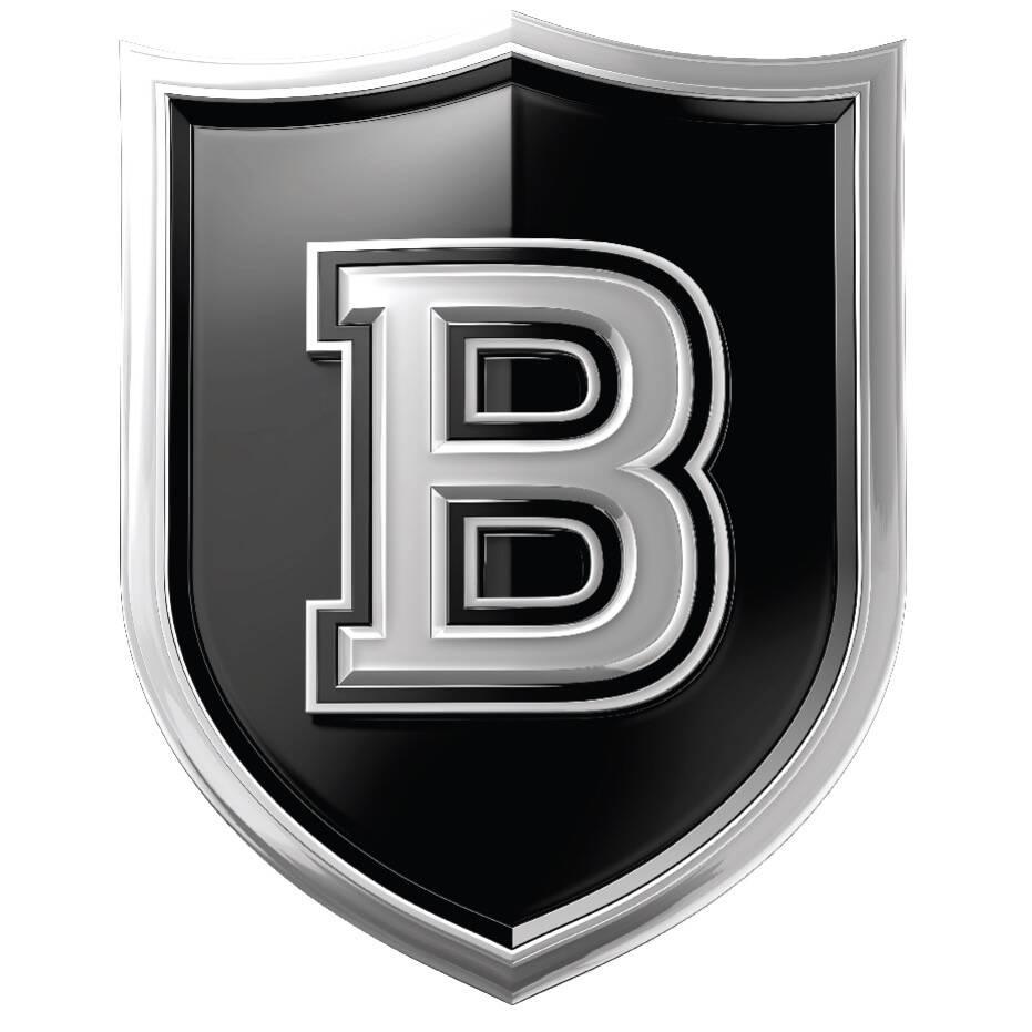 Battalion_Logo.jpg