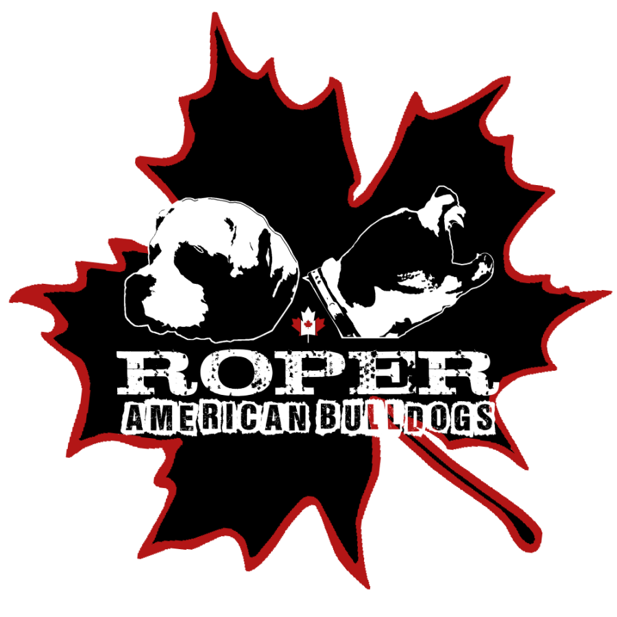 Roper American Bulldogs