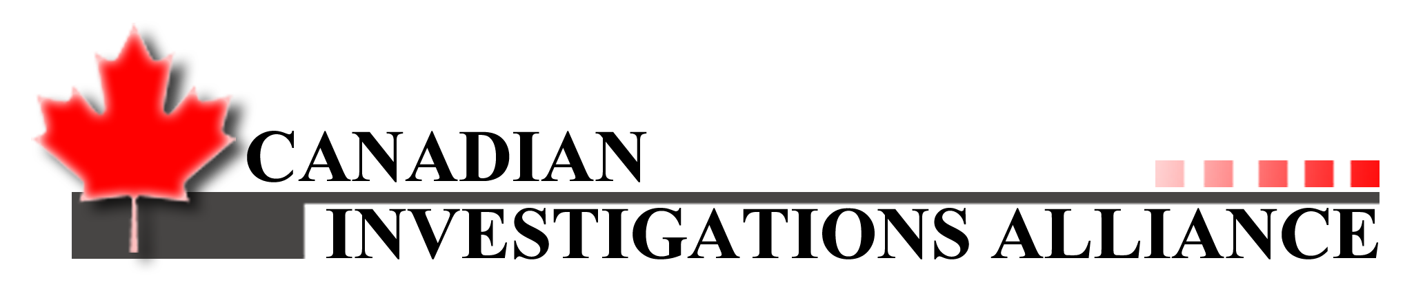 Canadian Investigations Alliance